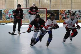 Image result for Dundee Ducks inline roller hockey club