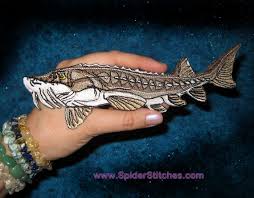 Image result for Acipenser fulvescens