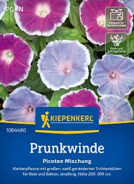 Image result for Prunkwinde