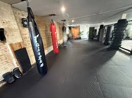 Image result for Bristol Dojo MMA