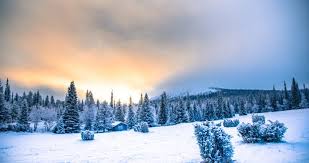 Image result for Laplandit-(Ce)