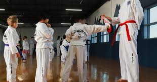 Image result for Phoenix Martial Arts
