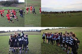 Image result for Royston Rufc