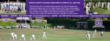 Image result for Frensham Cricket Club