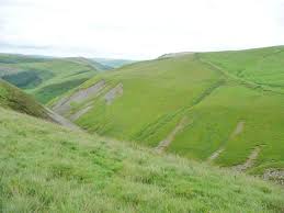 Image result for example