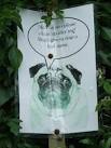 Mr Pug Says. Sign seen on footpath Debenham, Suffolk. - via Daymix