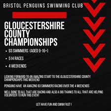 Image result for Grimsby Penguins Swimming Club