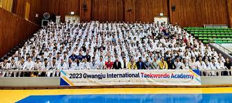 Image result for International Tae Kwon Do Academy
