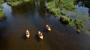 Image result for Keyingham WI*