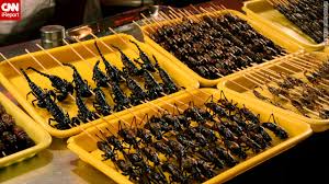 images?q=tbn:ANd9GcTCp2ZyAHRq-g5hleTf5gTZEeCCggzfq8pXKcC4MBvOZlOk7lI2