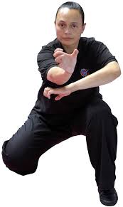Image result for KIXX Martial Arts