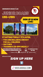 Image result for Bromsgrove Cricket Club