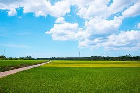 Kết quả hình ảnh cho hinh anh