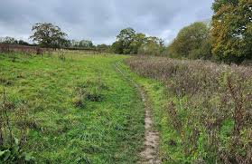 Image result for Bracknell Forest Runners