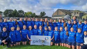Image result for Erin`s Own Gaelic Athletic & Social Club