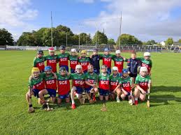 Image result for Shamrocks Hurling & Football Club