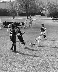Image result for Comets Junior Badminton Club