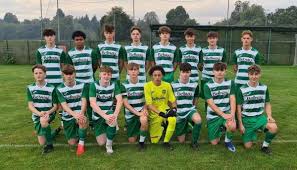 Image result for Chipstead Fc