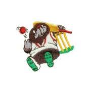 Image result for Thorner Mexborough Cricket Club