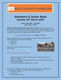 Image result for Wee County Harriers