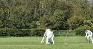 Image result for Llantwit Major Cavaliers Cricket Club