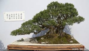 Image result for 艰苦阅历 孔泰初