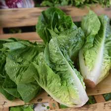 Image result for Römischer Salat