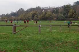 Image result for Shalford F C