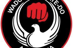 Image result for Karate Wado Kai