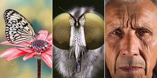 Attēlu rezultāti vaicājumam “macro”