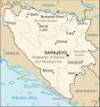 Bosnian Genocide | World Without Genocide