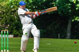 Image result for Mulgrave Cc