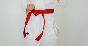 Image result for Bytomic Tae Kwon Do Windsor