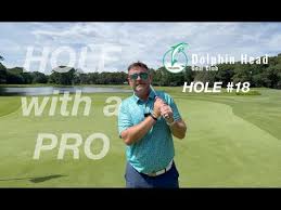 Image result for Dolphina Gc