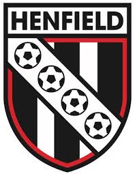 Image result for Newdigate F C