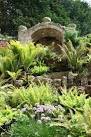 Fern Dell. Ferns in the grotto garden at Brodsworth Hall - via Daymix