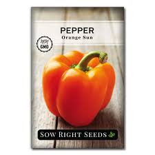 Afbeeldingsresultaat voor orange sun sweet pepper