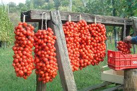 Afbeeldingsresultaat voor principe borghese tomato