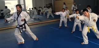 Image result for Soncho Karate Club