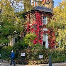 Image result for North London Bowling Club