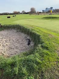 Image result for Romanby Golf Course