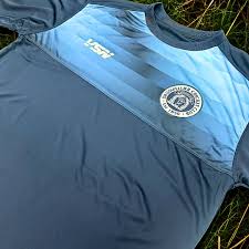 Image result for Drumpellier Cricket Club