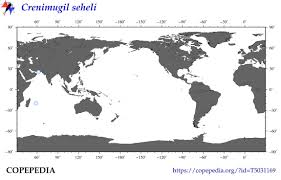 Image result for Crenimugil seheli