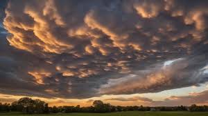 Attēlu rezultāti vaicājumam “Mammatus”