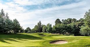 Image result for Elgin Scrabble Club