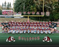 Image result for Northchurch Football Club