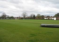 Image result for Basingstoke & North Hants Cricket Club