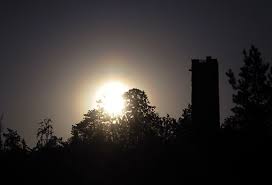 Attēlu rezultāti vaicājumam “pollen corona”