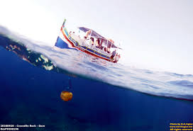 Image result for Calshot Sub-Aqua Club