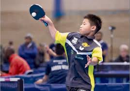 Image result for Dewsbury Table Tennis League Limited